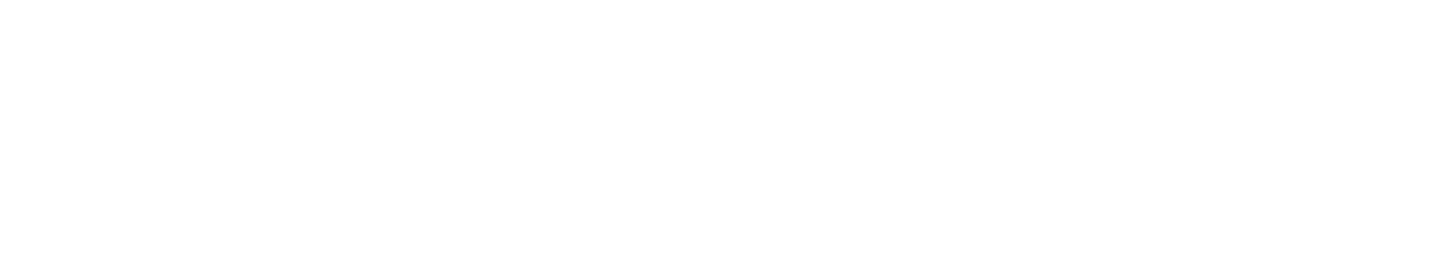 afm-Organigramm